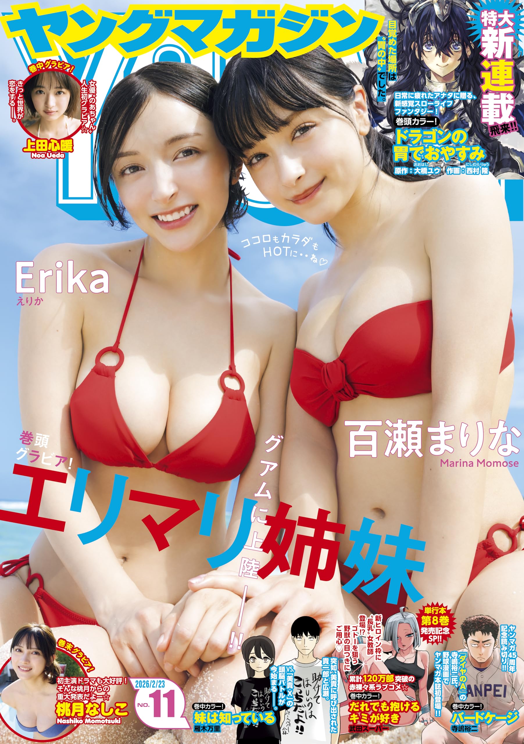 ヤングマガジン 2026年11号 [2026年2月9日発売] [雑誌]