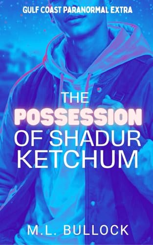 The Possession of Shadur Ketchum book cover