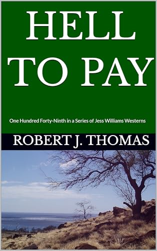 Hell To Pay book cover