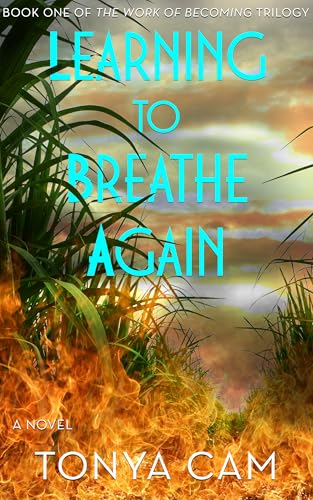 Discounted Book