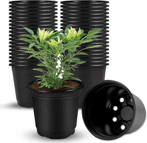 Plastic Flower Pots 3 Inch | Black Nursery Plant Pots for Indoor & Outdoor Gardening | Lightweight, Durable Pots with Drainage for Seeds, Succulents &