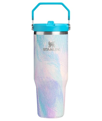 STANLEY IceFlow 2.0 Flip Straw Tumbler with Handle 30 oz | Twist On Lid and Flip Up Straw | Leakproof Water Bottle | Ins