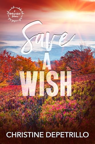 Save a Wish book cover