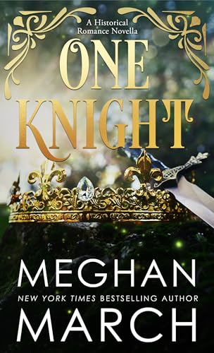 One Knight book cover