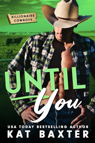 Until You book cover