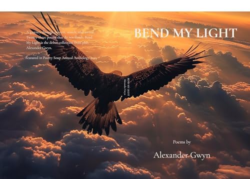 Discounted Book