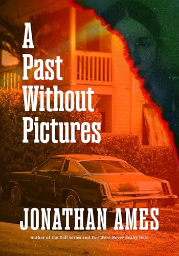 A Past Without Pictures book cover