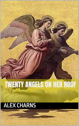 Original cover of Twenty Angels on Her Roof by Alex Charns