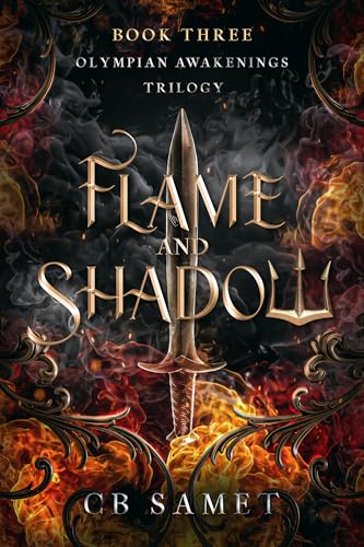 Flame and Shadow book cover