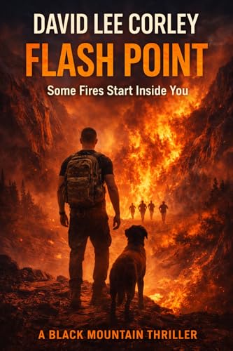 Flash Point book cover