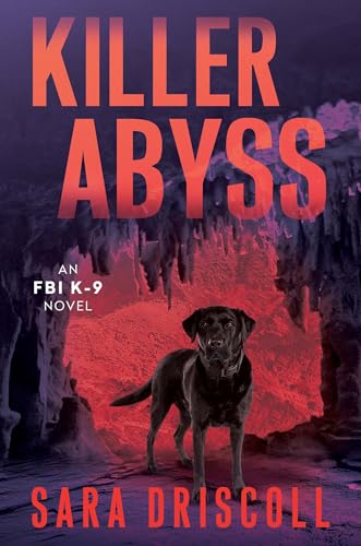 Killer Abyss book cover