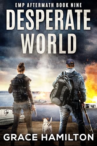 Desperate World book cover