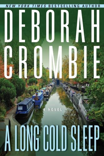 A Long Cold Sleep book cover