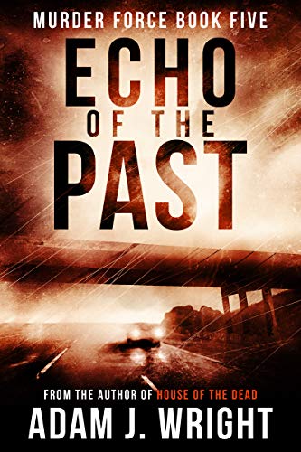 Echo of the Past book cover