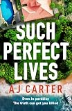Such Perfect Lives