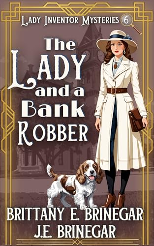 The Lady and a Bank Robber book cover