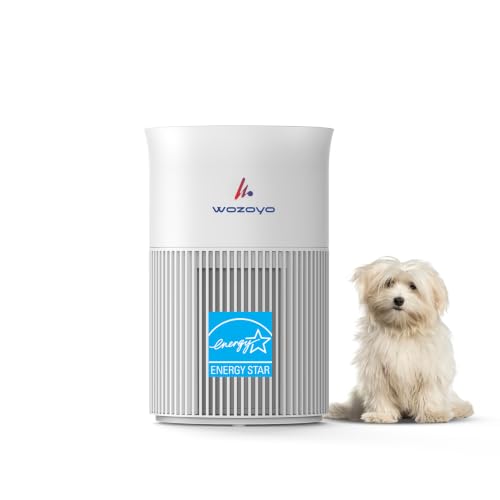 Wozoyo Pure Air PA1 Air Purifier, 4-Stage Filtration, H13 HEPA, Activated Carbon, AHAM Verified, Removes 99.99% PM2.5, Pet Dander, Smoke, Pollen, Arom