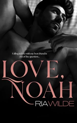 Love, Noah book cover