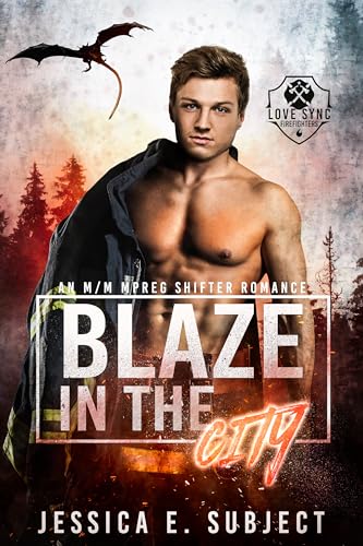 Blaze in the City book cover
