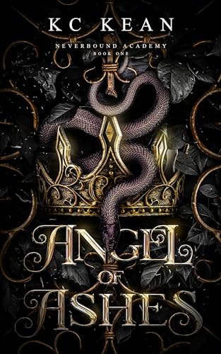 Angel of Ashes book cover