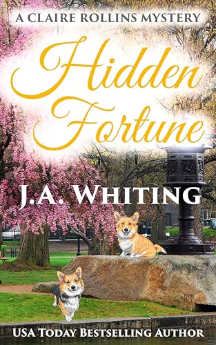 Hidden Fortune book cover