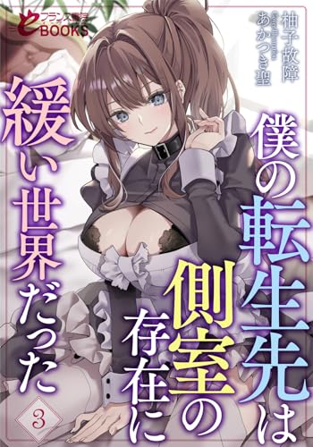 僕の転生先は側室の存在に緩い世界だった3