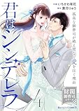 君はシンデレラ~孤高な御曹司が絶え間なく愛を注ぐ理由~【財閥御曹司シリーズ】4巻 (Berry's COMICS)