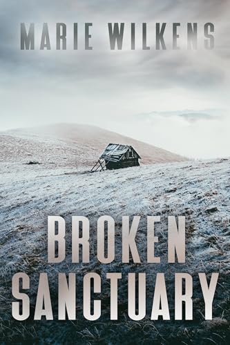 Broken Sanctuary book cover