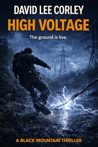 High Voltage book cover