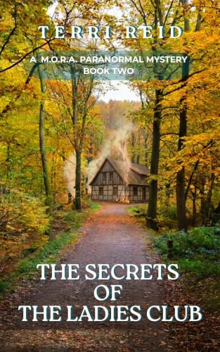 The Secrets of the Ladies Club book cover