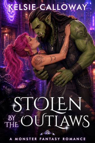 Stolen by the Outlaws book cover