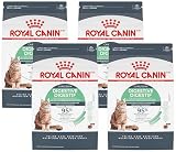 ROYAL CANIN Feline Care Nutrition Digestive Care Adult Dry Cat Food, 6 Pound Bag (Pack of 4)