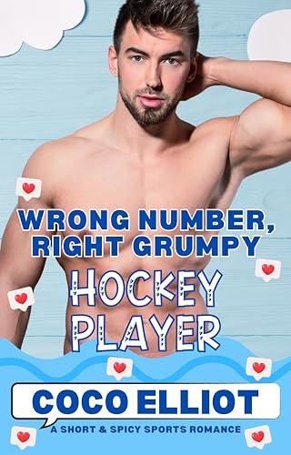 Wrong Number, Right Grumpy Hockey Player book cover