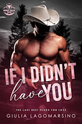 If I Didn't Have You book cover