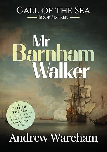 Mr Barnham Walker book cover
