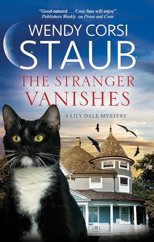The Stranger Vanishes book cover