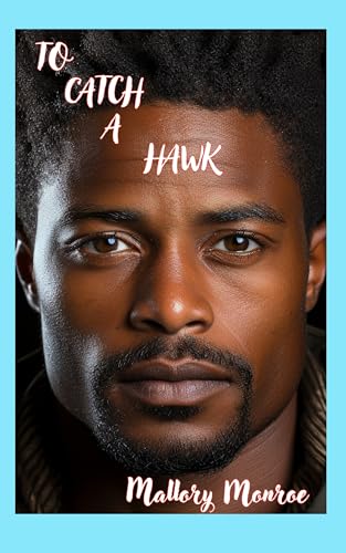 To Catch a Hawk book cover