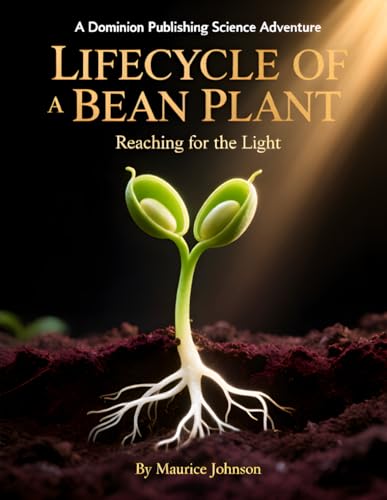 Lifecycle of a Bean Plant: Reaching for the Light