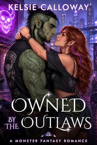 Owned by the Outlaws book cover