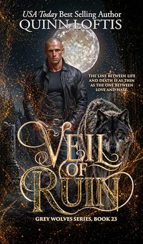 Veil of Ruin book cover