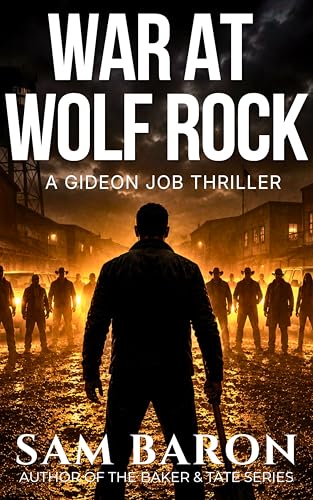War at Wolf Rock book cover