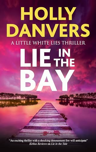 Lie In The Bay book cover