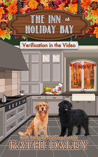Verification in the Video book cover