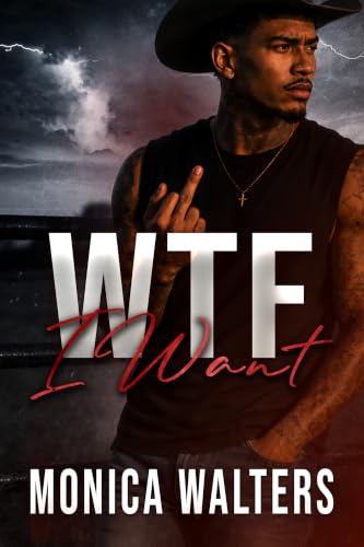 WTF I Want book cover