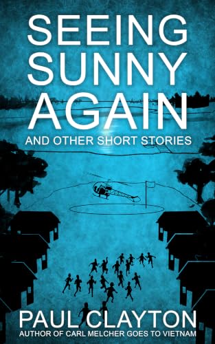 Seeing Sunny Again book cover