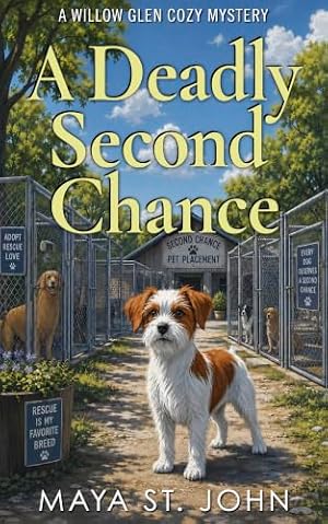 A Deadly Second Chance (A Willow Glen Cozy Mystery)