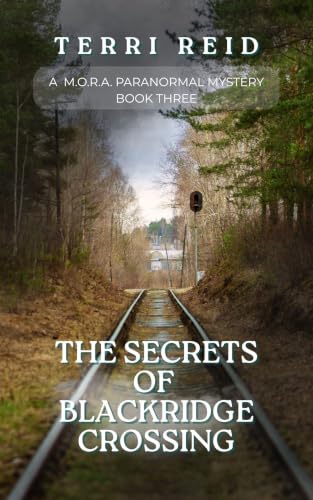 The Secrets of Blackridge Crossing book cover