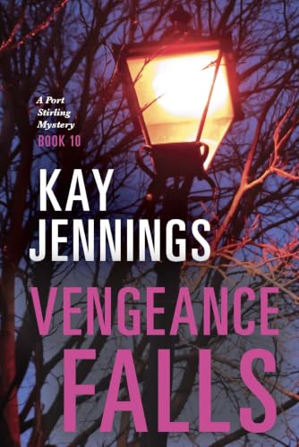 Vengeance Falls book cover