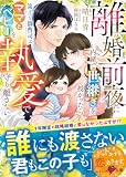 離婚前夜に内緒で世継ぎを授かったら~策士な御曹司はママとベビーを執愛で守り離さない~【SS付き】 (ベリーズ文庫)
