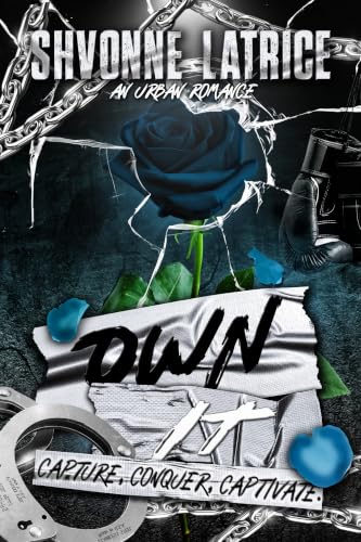 Own It book cover